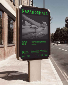 Sara Silva Santos [under construction]