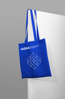 Sara Silva Santos [under construction]