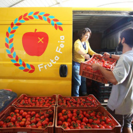 Sara Silva Santos [under construction]