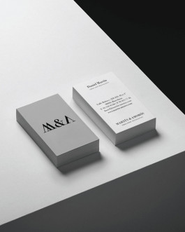 Sara Silva Santos [under construction]