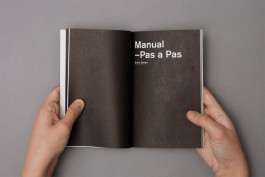 Sara Silva Santos [under construction]