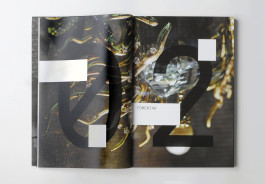 Sara Silva Santos [under construction]