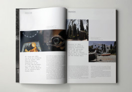 Sara Silva Santos [under construction]