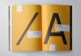 Sara Silva Santos [under construction]