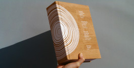 Sara Silva Santos [under construction]