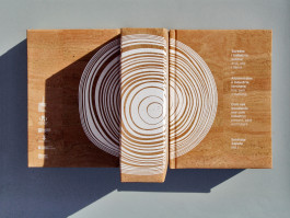 Sara Silva Santos [under construction]