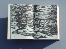 Sara Silva Santos [under construction]